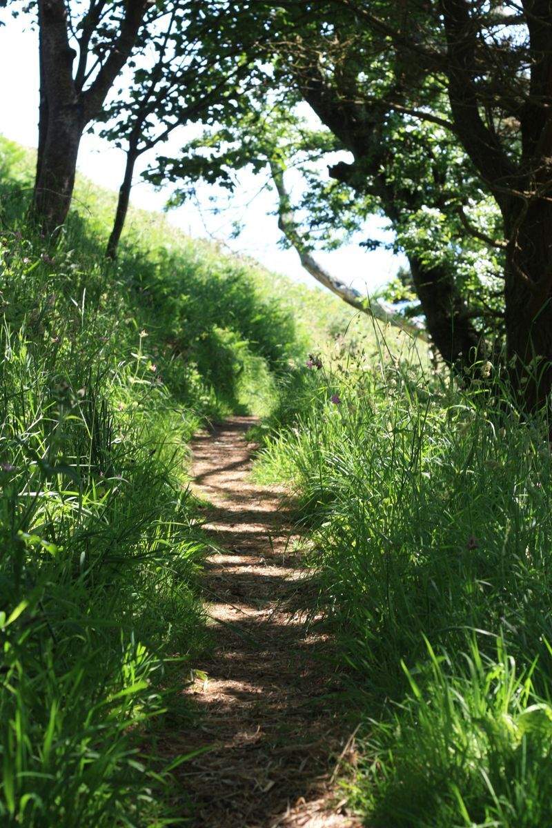 翠景庭園設計 8