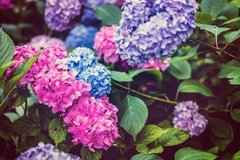 石組み・飛び石・砂利敷き施工